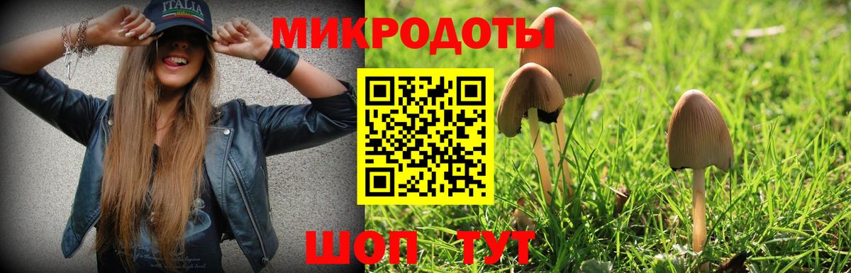 Галлюциногенные грибы Magic Shrooms  Вход с VPN  Кизляр  Псилоцибиновые грибы Cubensis 